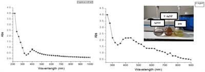 Novel biosynthesis of silver nanoparticles using Ulva lactuca and their potential toward environment and agricultural purposes